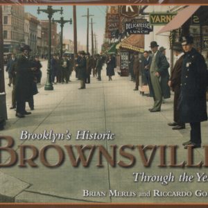 Books #8.  Brooklyn’s Brownsville